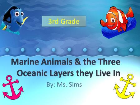 By: Ms. Sims 3rd Grade. In This Lesson, Students will…  Discuss Ocean Life  Draw pictures of different animals that live at the different ocean levels.