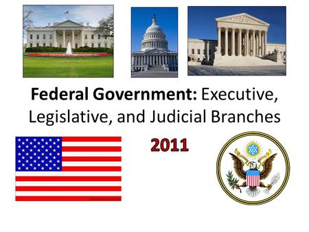 Federal Government: Executive, Legislative, and Judicial Branches