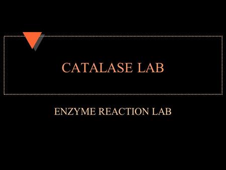 CATALASE LAB ENZYME REACTION LAB.