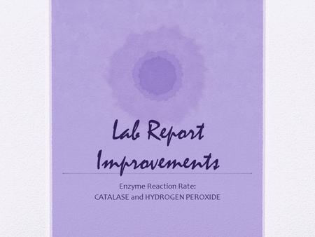 Lab Report Improvements
