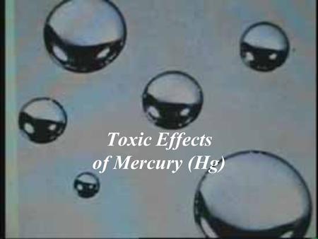 Toxic Effects of Mercury (Hg). Toxic Effects of Mercury Exposure Mercury poisoning, also known as mercurialism, is the phenomenon of toxication by contact.