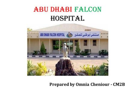 ABU DHABI FALCON HOSPITAL Prepared by Omnia Cheniour - CM2B.