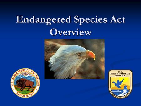 Endangered Species Act Overview