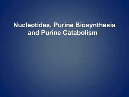 Nucleotides, Purine Biosynthesis and Purine Catabolism.