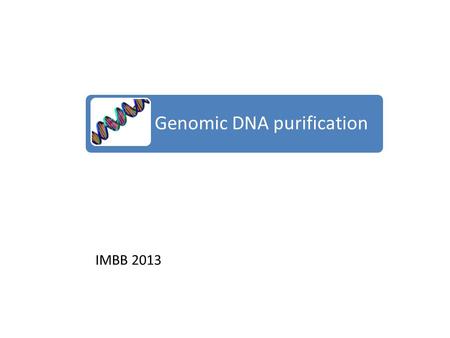 Genomic DNA purification