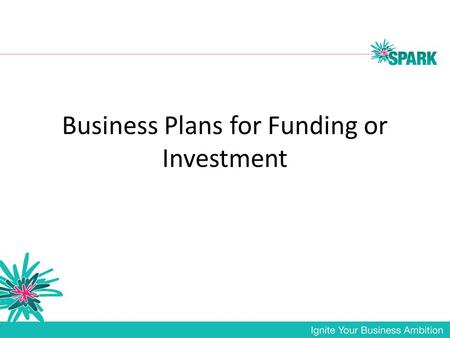 Business Plans for Funding or Investment