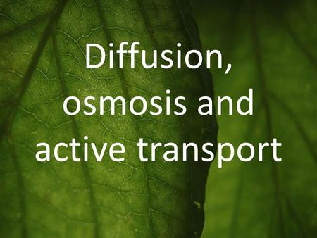 Diffusion, osmosis and active transport