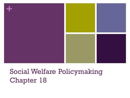 Social Welfare Policymaking Chapter 18