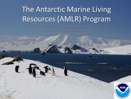 The Antarctic Marine Living Resources (AMLR) Program National Oceanic and Atmospheric Administration National Marine Fisheries Service Southwest Fisheries.