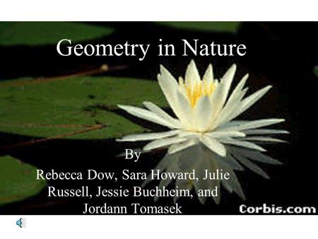 Geometry in Nature By Rebecca Dow, Sara Howard, Julie Russell, Jessie Buchheim, and Jordann Tomasek.