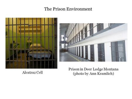 Alcatraz Cell Prison in Deer Lodge Montana (photo by Ann Kramlich) The Prison Environment.