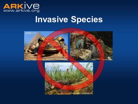 Invasive Species Introduce the session - today we are going to look at invasive species. We will talk about: What an invasive species is, and how it differs.
