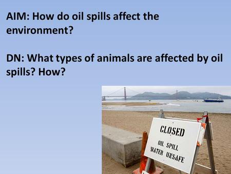 AIM: How do oil spills affect the environment?