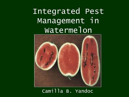 Integrated Pest Management in Watermelon Camilla B. Yandoc.