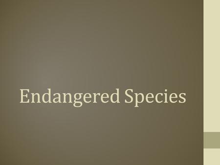 Endangered Species.