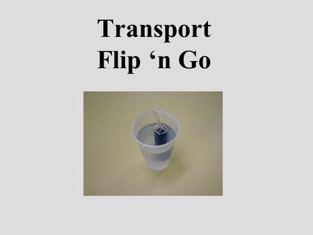 Transport Flip ‘n Go.