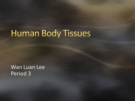 Wan Luan Lee Period 3. Epithelial tissue Connective tissue Nervous tissue Muscle tissue.
