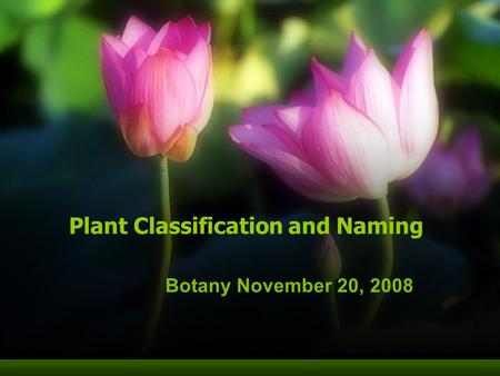 Plant Classification and Naming Botany November 20, 2008.