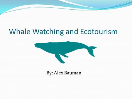 Whale Watching and Ecotourism By: Alex Bauman. What they are. Just like any other observation of animals such as bird watching, whale watching is watching.