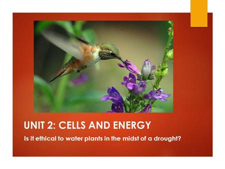 UNIT 2: CELLS AND ENERGY Is it ethical to water plants in the midst of a drought?