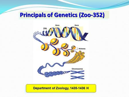 Principals of Genetics (Zoo-352) Department of Zoology, 1435-1436 H.