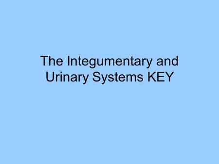 The Integumentary and Urinary Systems KEY. 1.epidermis 2.dermis 3.hypodermis 4.hair follicle 5.sebaceous (oil) gland 6.blood vessels 7.sweat gland 8.touch.