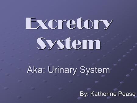 Excretory System Aka: Urinary System By: Katherine Pease.