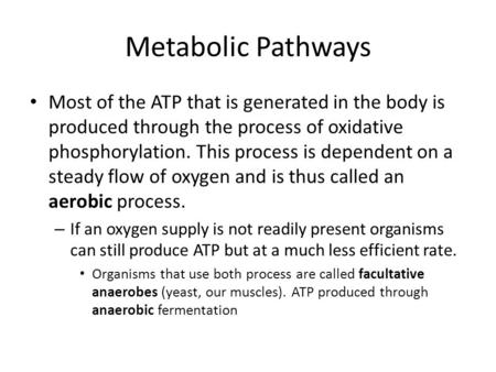 Metabolic Pathways Most of the ATP that is generated in the body is produced through the process of oxidative phosphorylation. This process is dependent.
