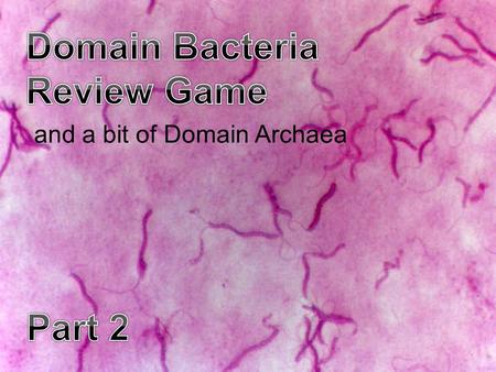 And a bit of Domain Archaea. BACT-OFFYO -SOCCUSSTOMACH PAINS THAT’S JUST GROSS -BONUS- SMELLY PANTS 161116*21 271217*22 381318*23 491419*24 5101520*25.