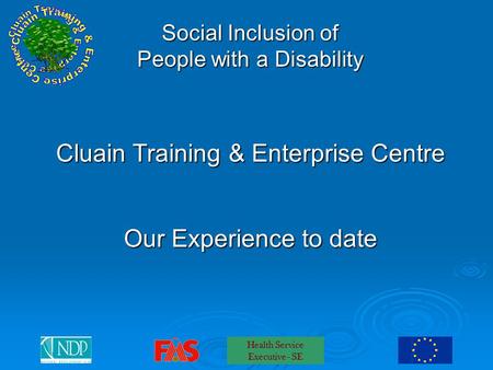 Health Service Executive - SE Social Inclusion of People with a Disability Cluain Training & Enterprise Centre Our Experience to date.