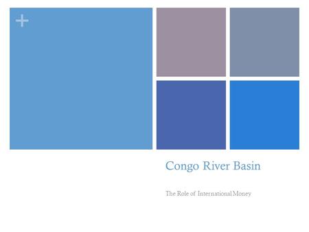 + Congo River Basin The Role of International Money.