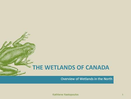 THE WETLANDS OF CANADA Overview of Wetlands in the North Kathlene Nastopoulos 1.