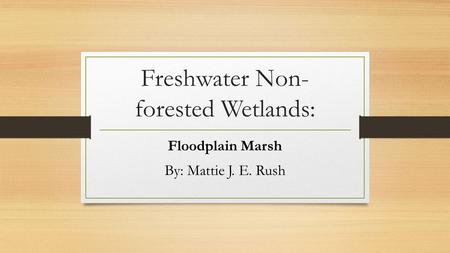 Freshwater Non- forested Wetlands: Floodplain Marsh By: Mattie J. E. Rush.