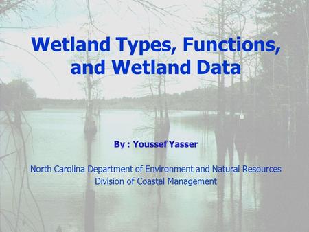 January 2002. Wetlands Wetlands Wetland Functions Wetland Functions Wetland Types Wetland Types wetland data wetland data Topics.