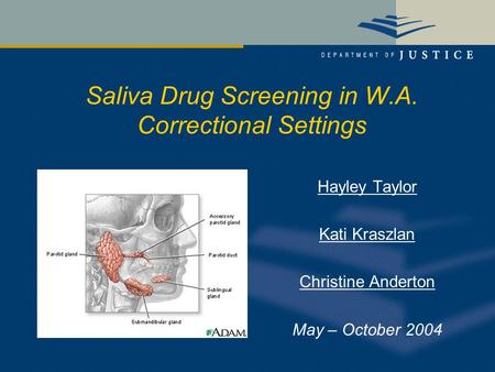 Saliva Drug Screening in W.A. Correctional Settings Hayley Taylor Kati Kraszlan Christine Anderton May – October 2004.