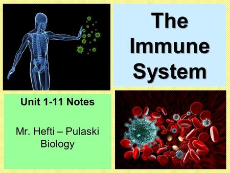 The Immune System Unit 1-11 Notes Mr. Hefti – Pulaski Biology.