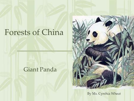 Forests of China Giant Panda By Ms. Cynthia Wheat.