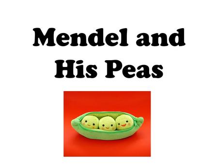 Mendel and His Peas.