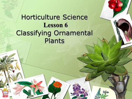 Horticulture Science Lesson 6 Classifying Ornamental Plants