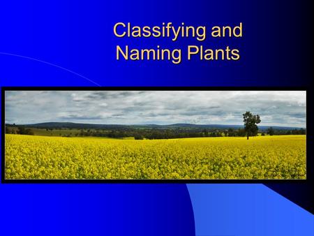 Classifying and Naming Plants. Next Generation Science / Common Core Standards Addressed! l MS ‐ LS1 ‐ 6. Construct a scientific explanation based on.