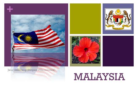+ MALAYSIA Jalur Gemilang (Stripes of Excellence).