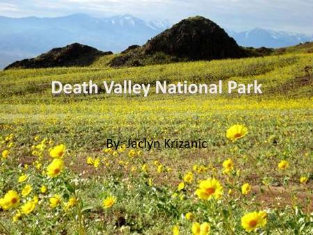 By: Jaclyn Krizanic. What year did the park become an official National Park and why? Death Valley become recognized as a national monument by President.