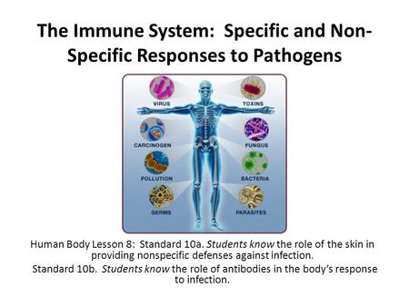 The Immune System: Specific and Non-Specific Responses to Pathogens