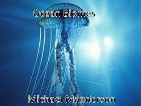 - Ocean is the largest ecosystem in the world covering over 75 percent of the planet. -This biomes is said to contain the most rich and diverts types.