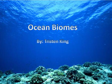 The Ocean biome is the worlds largest biome. Life in the ocean is very diverse. The smallest ocean creature is so tiny that it can only be seen under.
