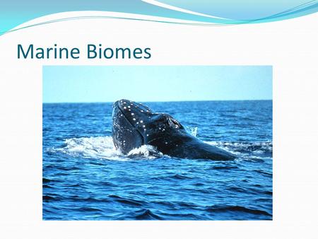 Marine Biomes.