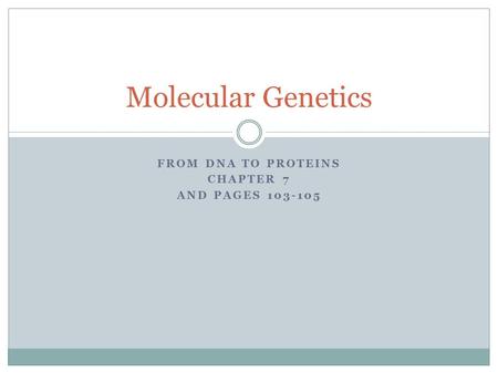 FROM DNA TO PROTEINS CHAPTER 7 AND PAGES 103-105 Molecular Genetics.