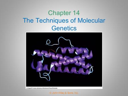 Chapter 14 The Techniques of Molecular Genetics