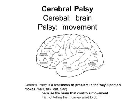 Cerebral Palsy Cerebal: brain Palsy: movement Cerebral Palsy is a weakness or problem in the way a person moves (walk, talk, eat, play) because the brain.