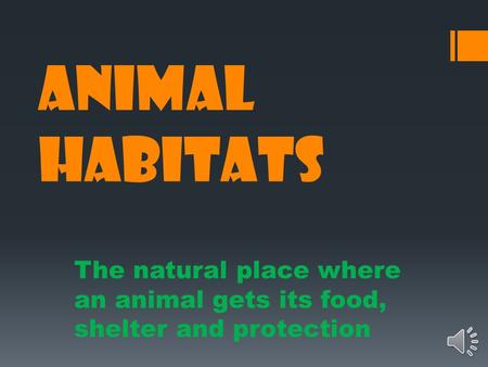 ANIMAL HABITATS The natural place where an animal gets its food, shelter and protection.